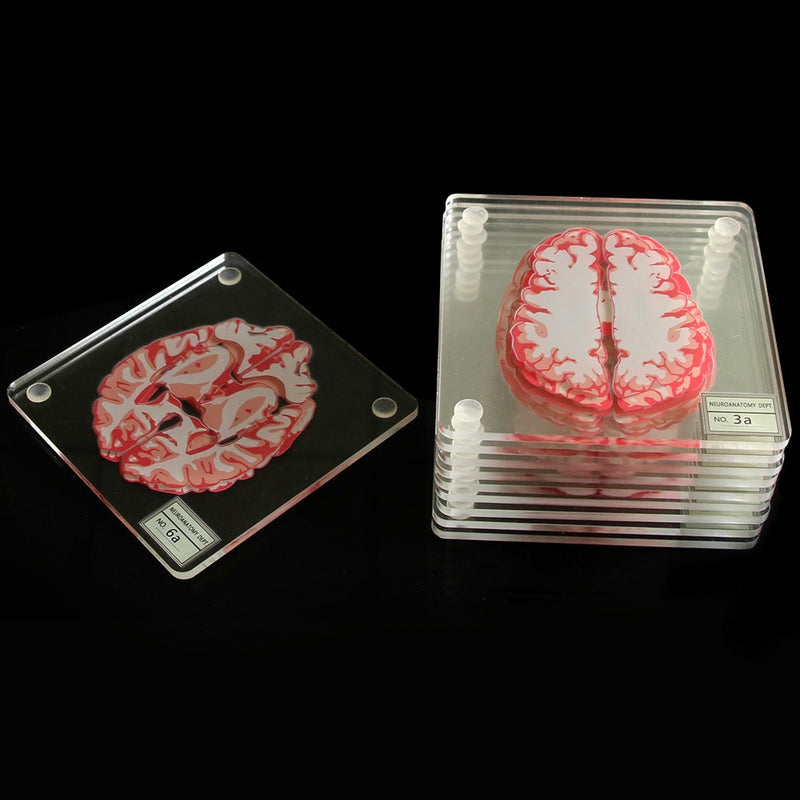 The Brain Coasters - ERA Home Decor